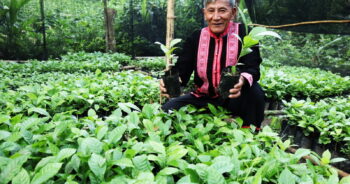 เรือนเพาะชำกล้าไม้ของชุมชนสำหรับเตรียมต้นกล้าเพื่อทำแปลงวนเกษตร